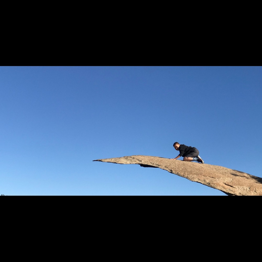 Meet your Posher, Abbie